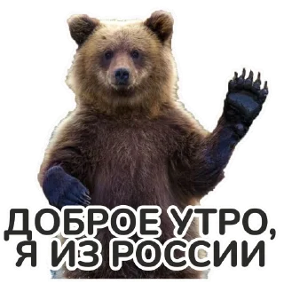 Стикер русский пидарассий - 11