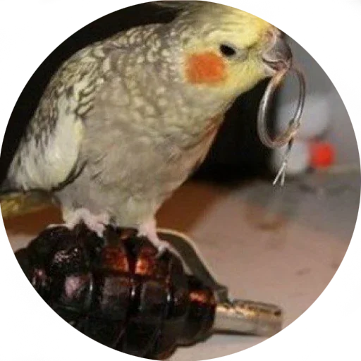 Стикер s8aef5d3a9dc05c73815c2f0543a4da4d_by_sozdat_stikery_bot - 1