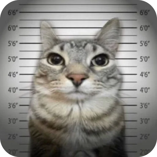 Sticker salatysjsx_by_MoiStikiBot - 1