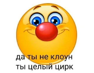 Стикер саша похуисточка! юз:@pudoras_tututu @TgEmodziBot - 6