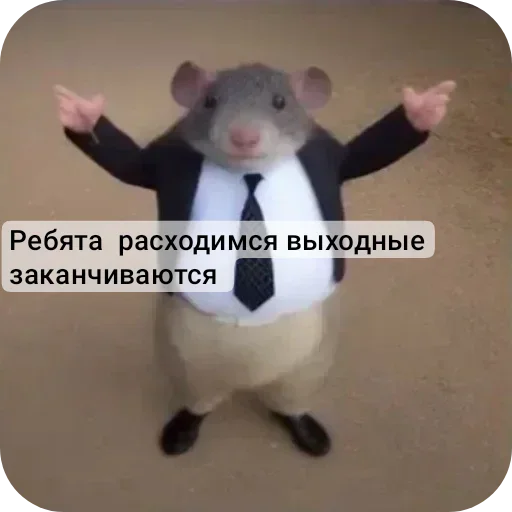 Стикер set_116_by_makestick3_bot - 1