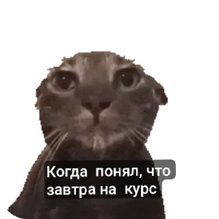 Sticker Больше стиков тут: @stikery4 - 10
