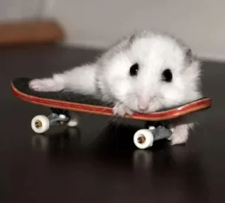 Стикер Больше стиков тут: @stikery4 - 5