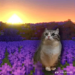 Стикер Больше стиков тут: @stikery4 - 9