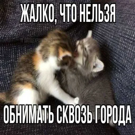 Больше стиков тут: @stikery4 - 