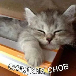 Стикер Больше стиков тут: @stikery4 - 2