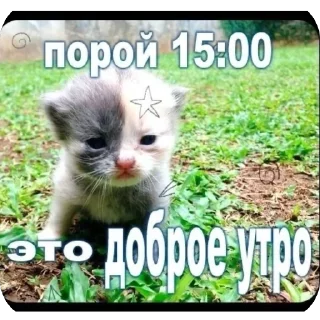 Стикер Больше стиков тут: @stikery4 - 9