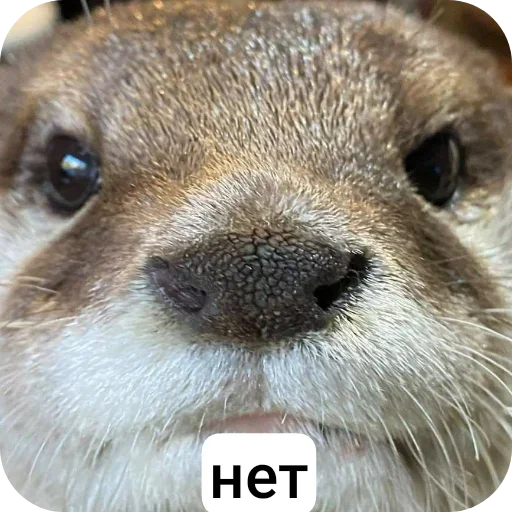 Стикер set_324_by_makestick3_bot - 1