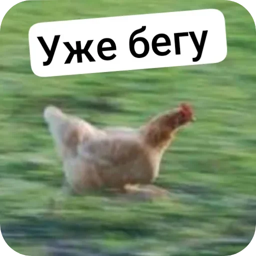 Стикер set_324_by_makestick3_bot - 1