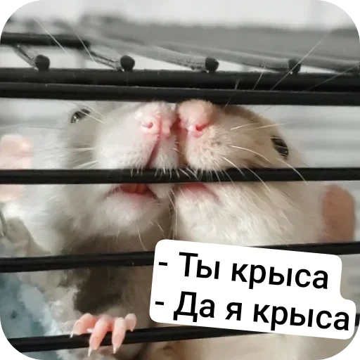 Стикер set_324_by_makestick3_bot - 1