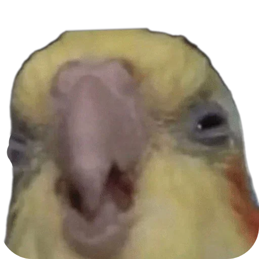 Стикер set_324_by_makestick3_bot - 1