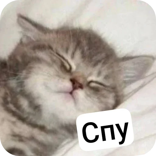 Стикер set_324_by_makestick3_bot - 1