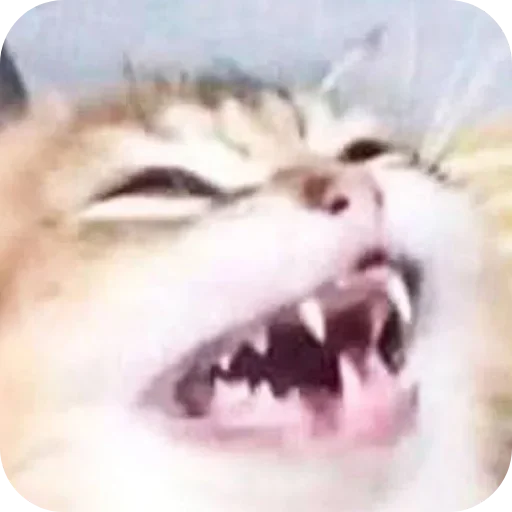 Стикер set_324_by_makestick3_bot - 1