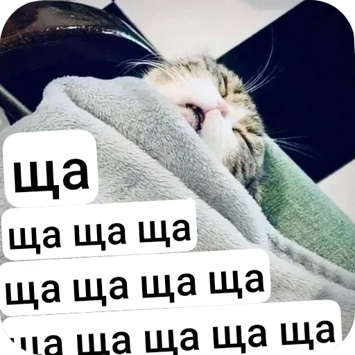 Стикер set_324_by_makestick3_bot - 1