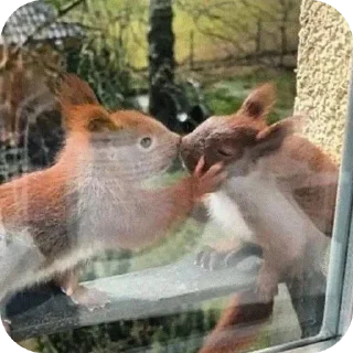 Стикер Больше стиков тут: @stikery4 - 4