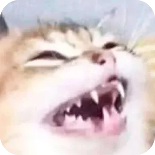 Стикер Больше стиков тут: @stikery4 - 1