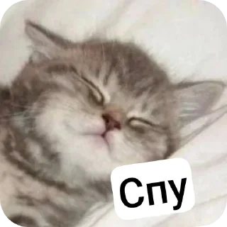 Стикер Больше стиков тут: @stikery4 - 3