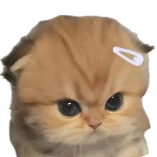 Стикер Больше стиков тут: @stikery4 - 2