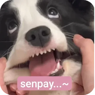 Стикер Больше стиков тут: @stikery4 - 8