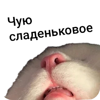 Стикер Больше стиков тут: @stikery4 - 6