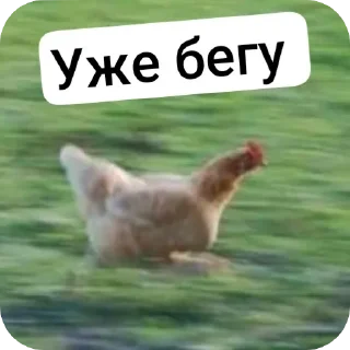 Стикер Больше стиков тут: @stikery4 - 9