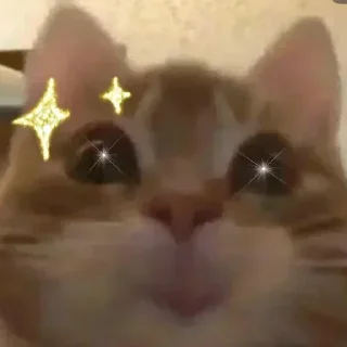 Sticker Больше стиков тут: @stikery4 - 3