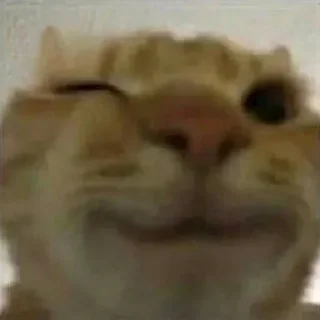 Sticker Больше стиков тут: @stikery4 - 6