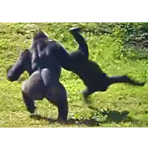 Sticker set_392_by_makestick3_bot - 1