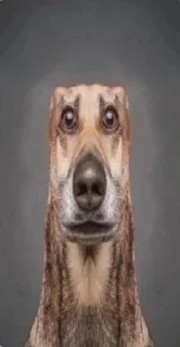 Стикер Больше стиков тут: @stikery4 - 3