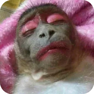 Стикер Больше стиков тут: @stikery4 - 9