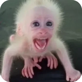 Стикер Больше стиков тут: @stikery4 - 3