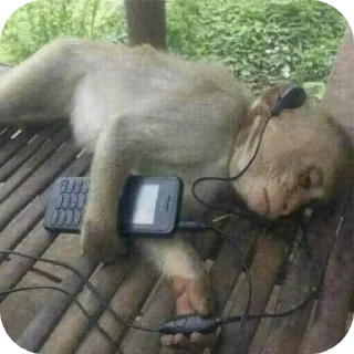 Стикер Больше стиков тут: @stikery4 - 1