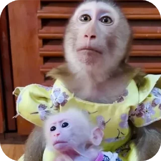 Стикер Больше стиков тут: @stikery4 - 7