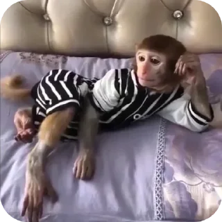 Стикер Больше стиков тут: @stikery4 - 5