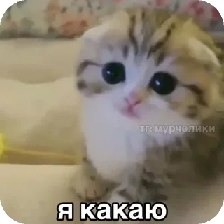 Стикер Больше стиков тут: @stikery4 - 3