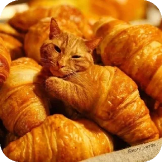 Стикер Больше стиков тут: @stikery4 - 0