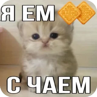 Стикер Больше стиков тут: @stikery4 - 7