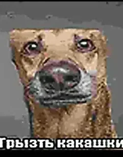 Sticker Больше стиков тут: @stikery4 - 7