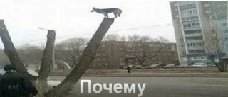 Sticker Больше стиков тут: @stikery4 - 10