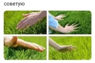 Sticker Больше стиков тут: @stikery4 - 4