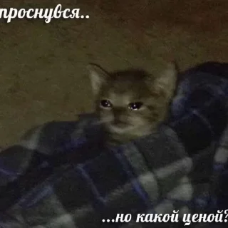 Sticker Больше стиков тут: @stikery4 - 9