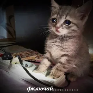 Sticker Больше стиков тут: @stikery4 - 5