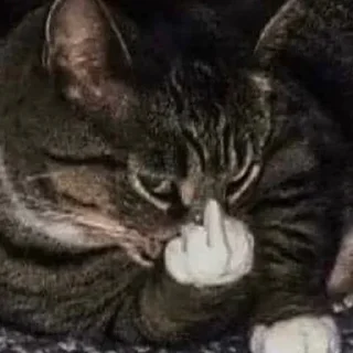 Sticker Больше стиков тут: @stikery4 - 10