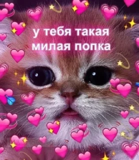 Sticker Больше стиков тут: @stikery4 - 7