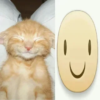 Sticker Больше стиков тут: @stikery4 - 9