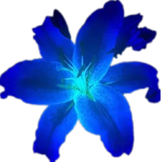 Sticker Больше стиков тут: @stikery4 - 2