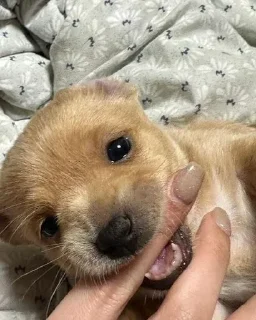 Sticker Больше стиков тут: @stikery4 - 9