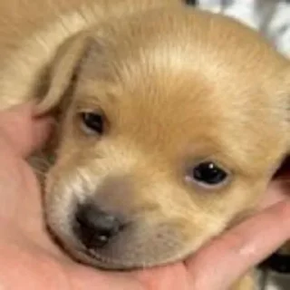 Sticker Больше стиков тут: @stikery4 - 3