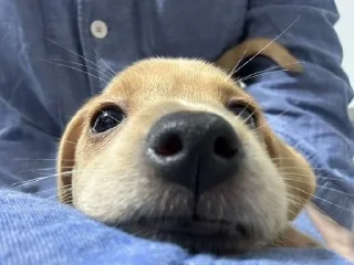 Sticker Больше стиков тут: @stikery4 - 4