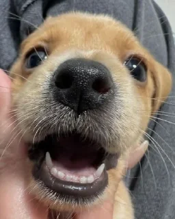 Sticker Больше стиков тут: @stikery4 - 5